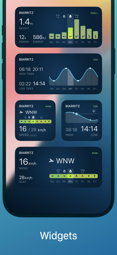 Una collezione di widget EPIC Surf Report per iOS che mostrano altezza delle onde, grafici delle maree e condizioni del vento sulla schermata principale di un cellulare