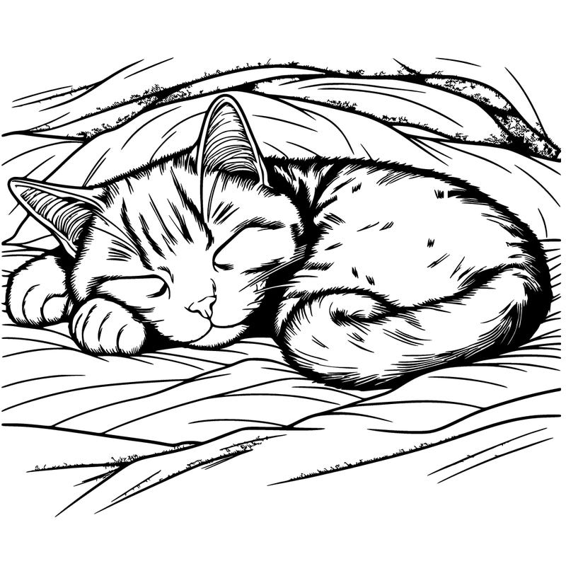 realistic cat napping