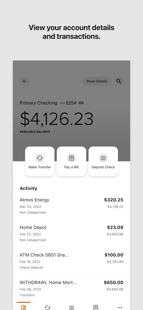 Verve Mobile - Interface of Verve Mobile banking app showing primary checking account balance and recent transaction history
