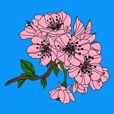 flowers_03
