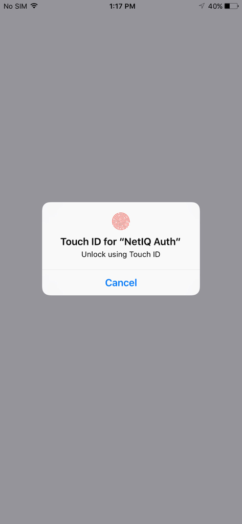 OT Advanced Authentication - An iPhone system prompt requesting Touch ID authentication to unlock the NetIQ Auth app.