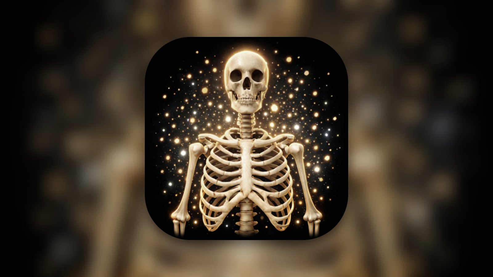Skeleton Puzzle: Learn Anatomy - Education App | MWM