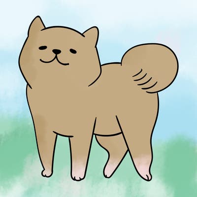 animals_29