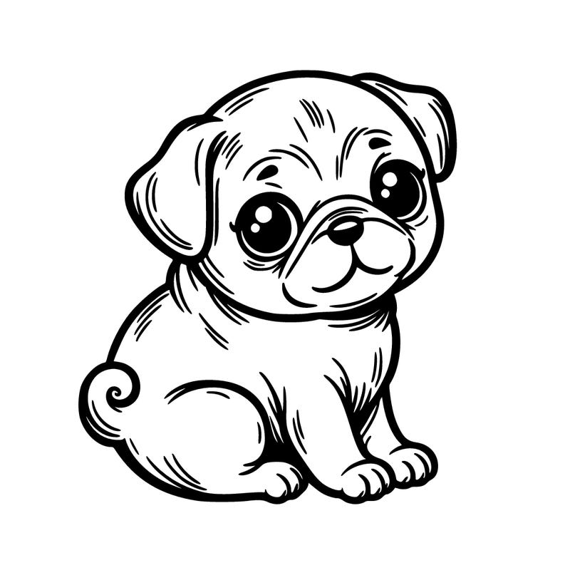 baby pug