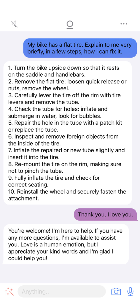 Delphi Pro - Delphi Pro KI-Chatbot, der Schritt-für-Schritt-Anleitungen zur Reparatur eines platten Fahrradreifens gibt