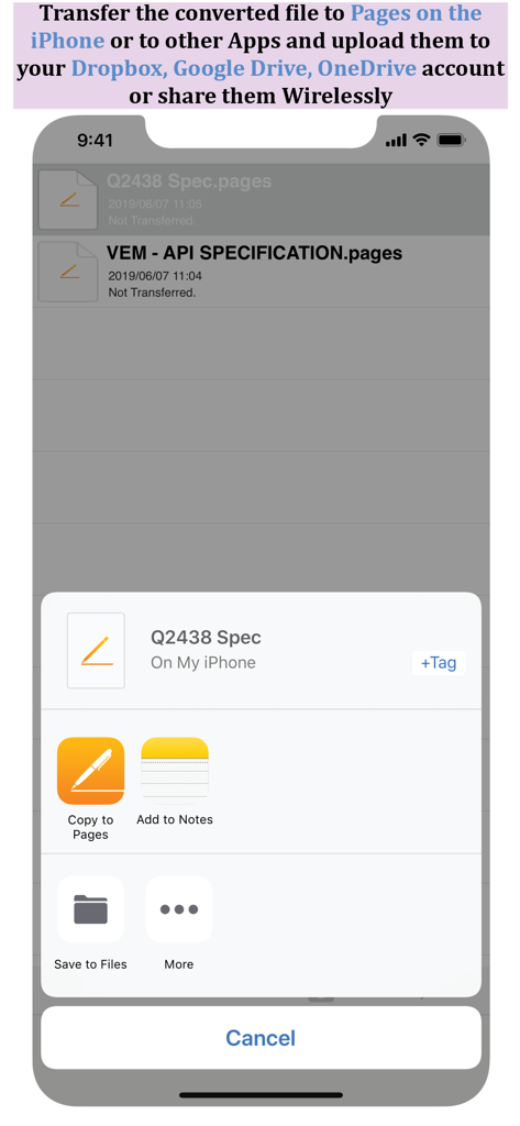 Pagesに変換済みファイルをコピーするか、iPhoneのクラウドストレージに保存するオプションが表示されている共有シート。
