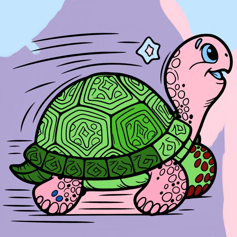tortoise