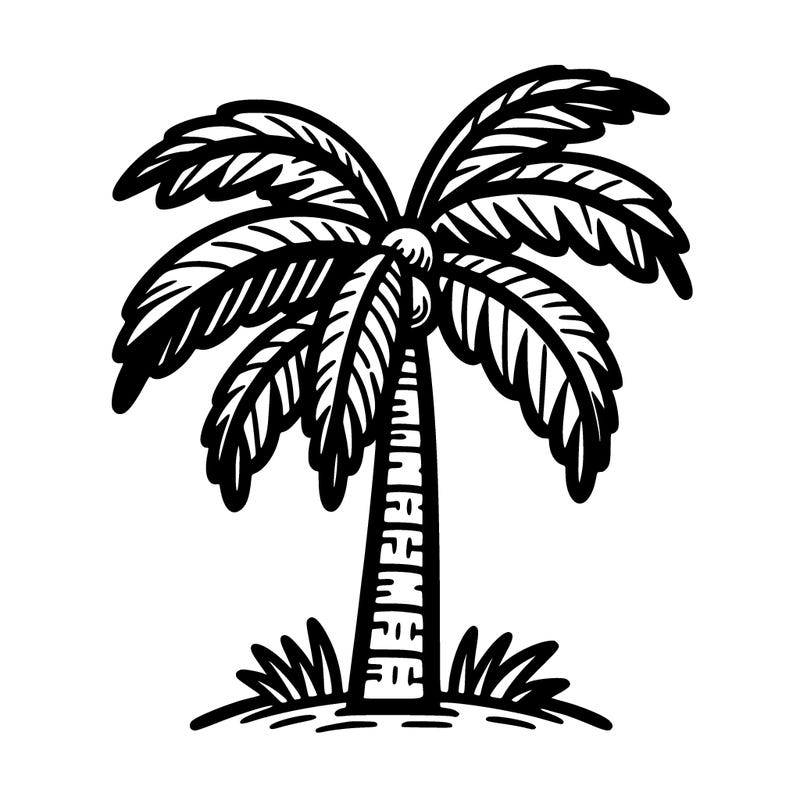 palm tree