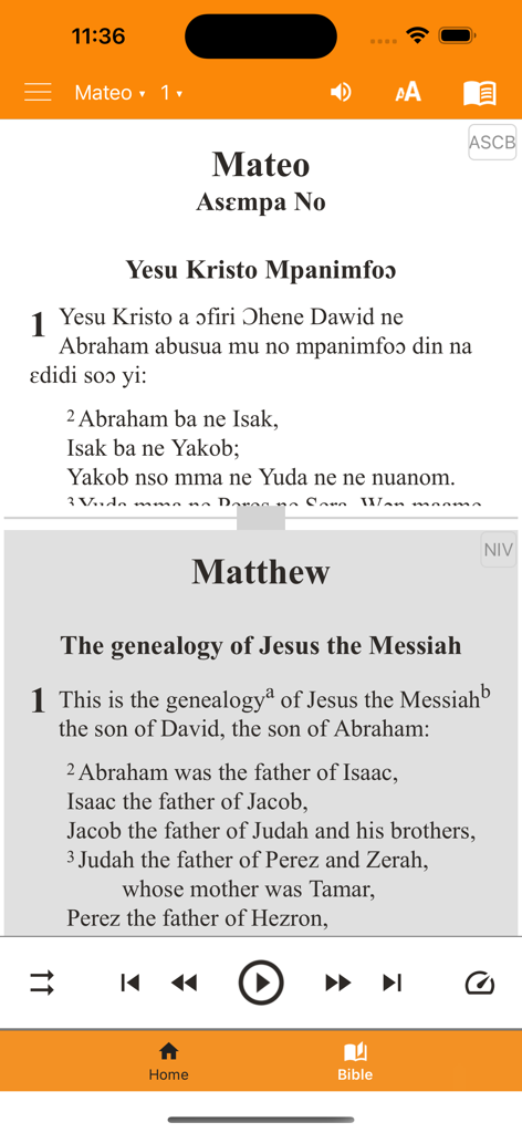 Side-by-side view of Asante Twi and English NIV Bible verses