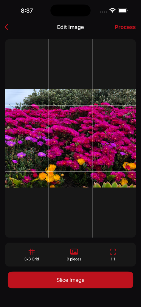 Privex - Privex app interface showing a three by three grid overlay on a floral photo for creating Instagram puzzle feeds
