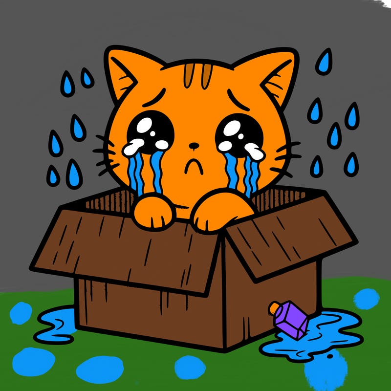 cat crying in a box and raining