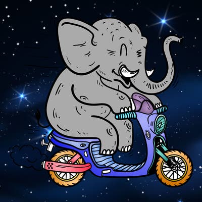 animals_21