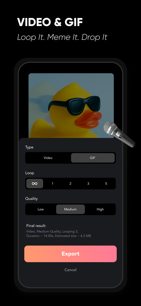 Interface do aplicativo móvel para exportar animações de stop motion como vídeo ou GIF com configurações personalizadas de loop e qualidade.
