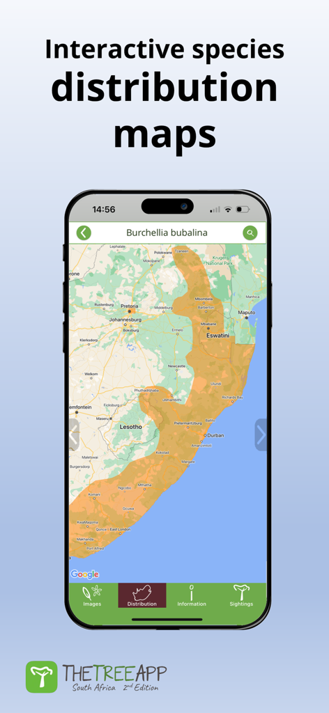 TheTreeApp SA | The Ultimate Safari Field Guide & Tree Identifier