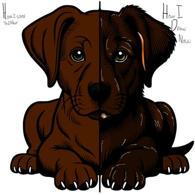 realistic dog split picture