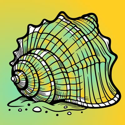 sea shell