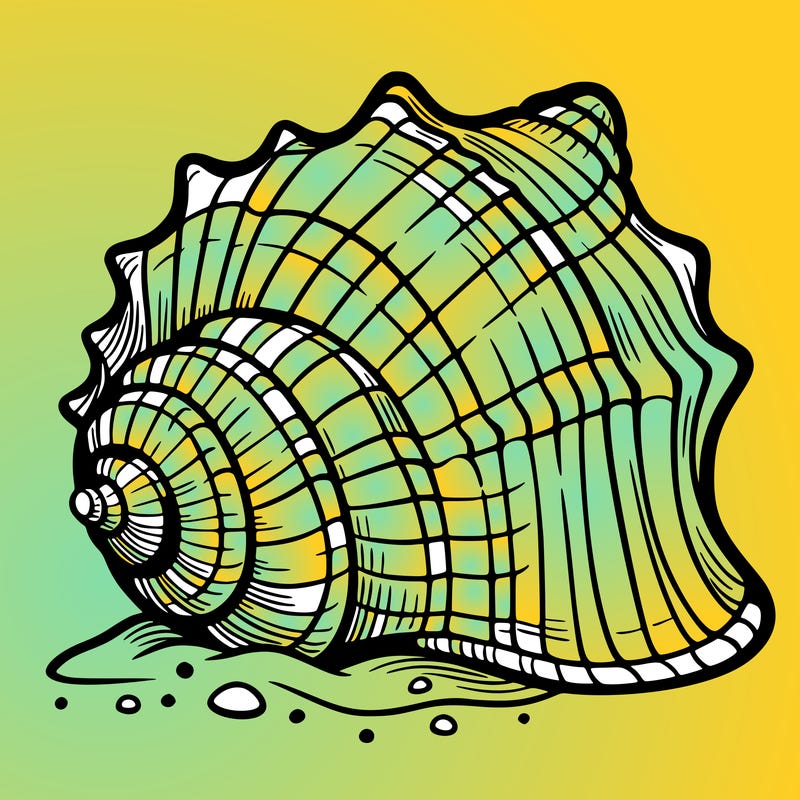 sea shell