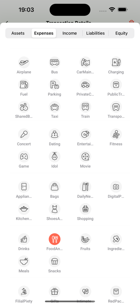 QuackBooks: AI Bookkeeper - Interfaz de la aplicación QuackBooks que muestra una cuadrícula de iconos de categorías de gastos, incluidos transporte, entretenimiento, compras y comida