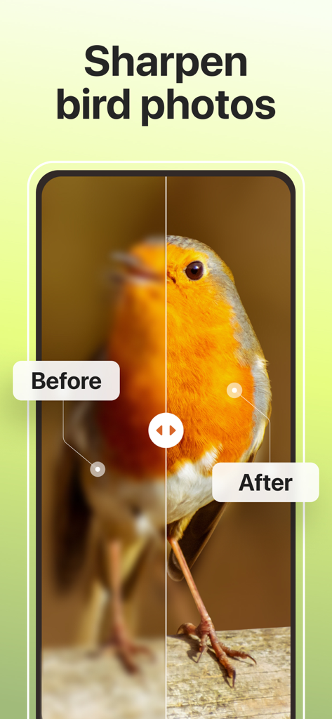 Picture Bird - Bird Identifier - Picture Birdアプリの機能を使用して、鳥の写真をシャープにする前後の比較。