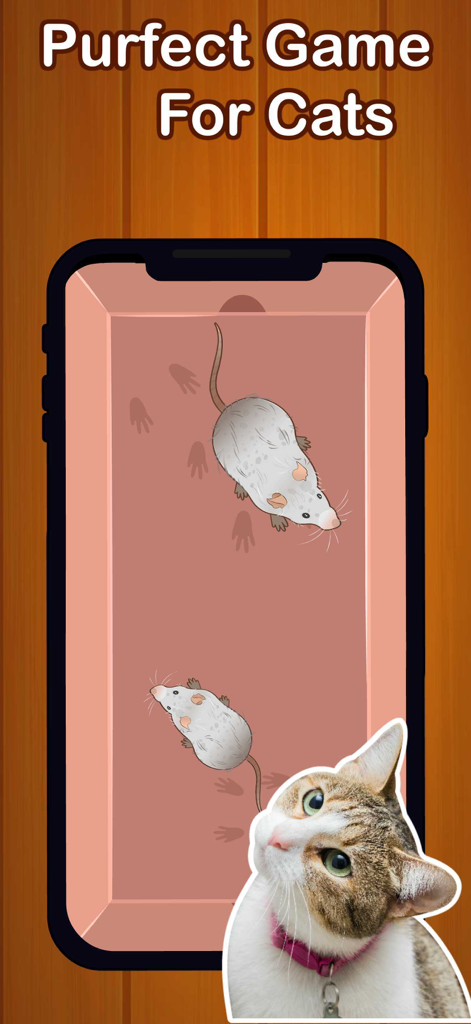 Cat looking at two digital mice on a mobile phone screen