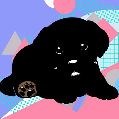 a cute realistic puppy