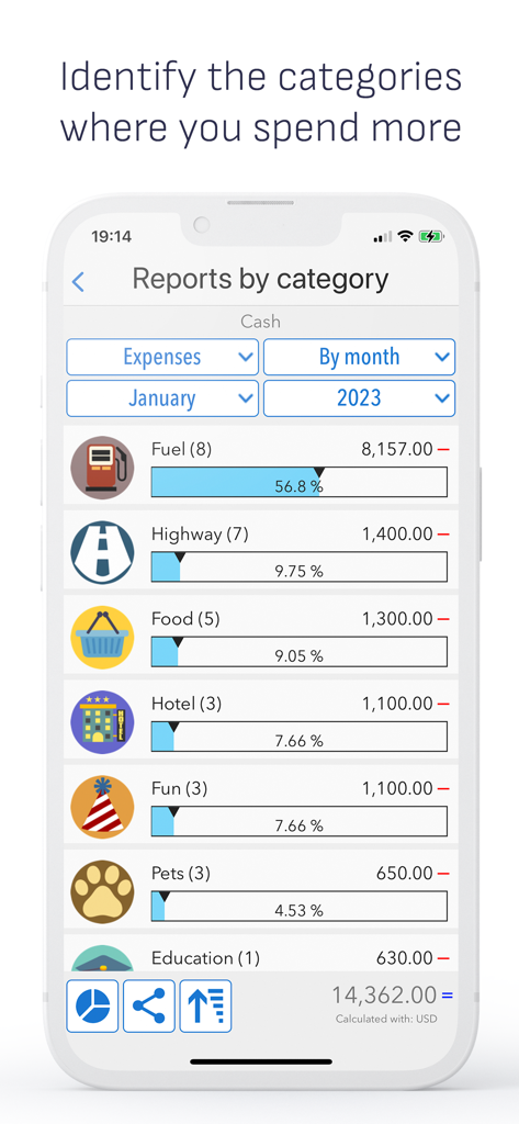 Monthly expense report screen in the Daily Expenses app showing budget categories and spending percentages