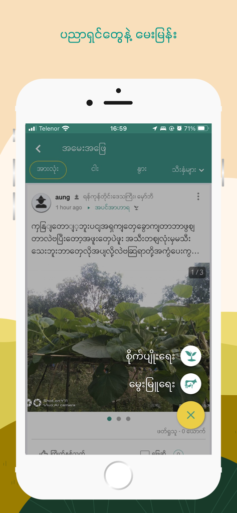 Green Way (Myanmar) - Mobile app interface showing a community agricultural Q&A post with plant photos in Burmese