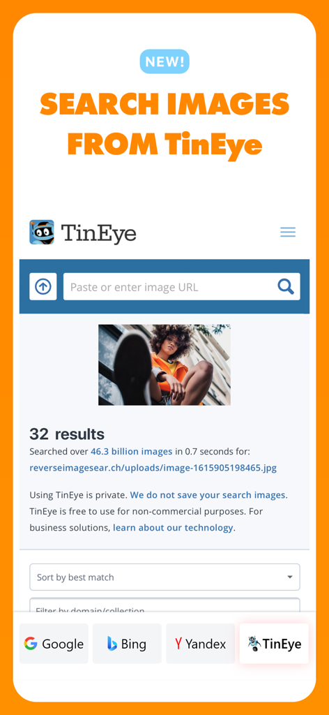 Reverse - Image Search - 下部にあるエンジンの選択オプションとともに、リバースイメージ検索のTinEye検索結果を表示するアプリインターフェース