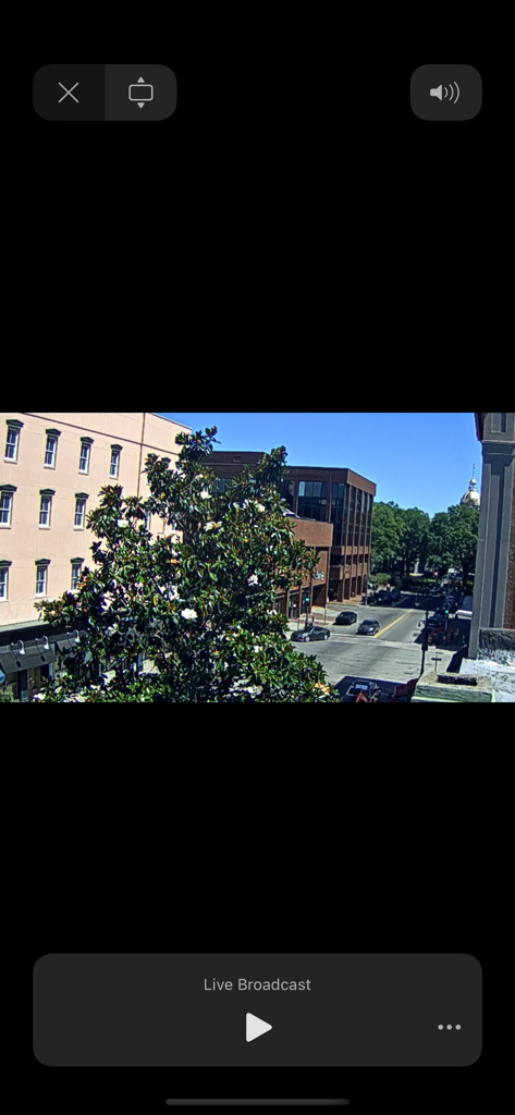 Savannah Cams - Live Views - A live broadcast view from the Savannah Cams app showing a historic downtown street with a blooming magnolia tree and city buildings.