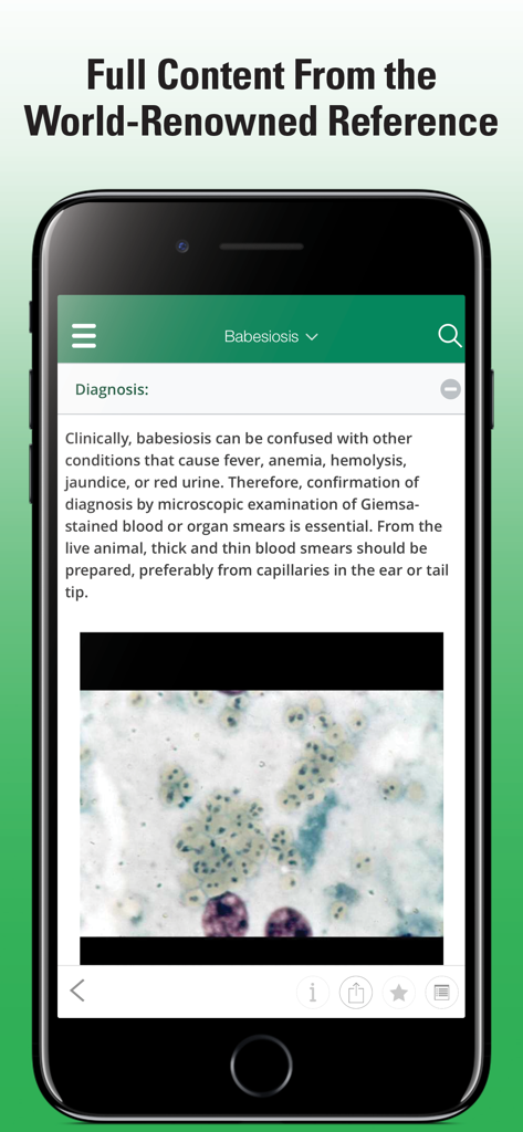 MSD Vet Manual app displaying clinical diagnosis information and a microscopic image of a blood smear for Babesiosis