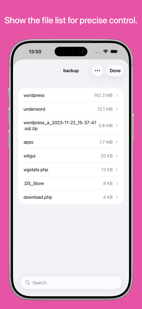 A file list interface in the Disk Graph app showing folder names and their storage sizes for precise data management.