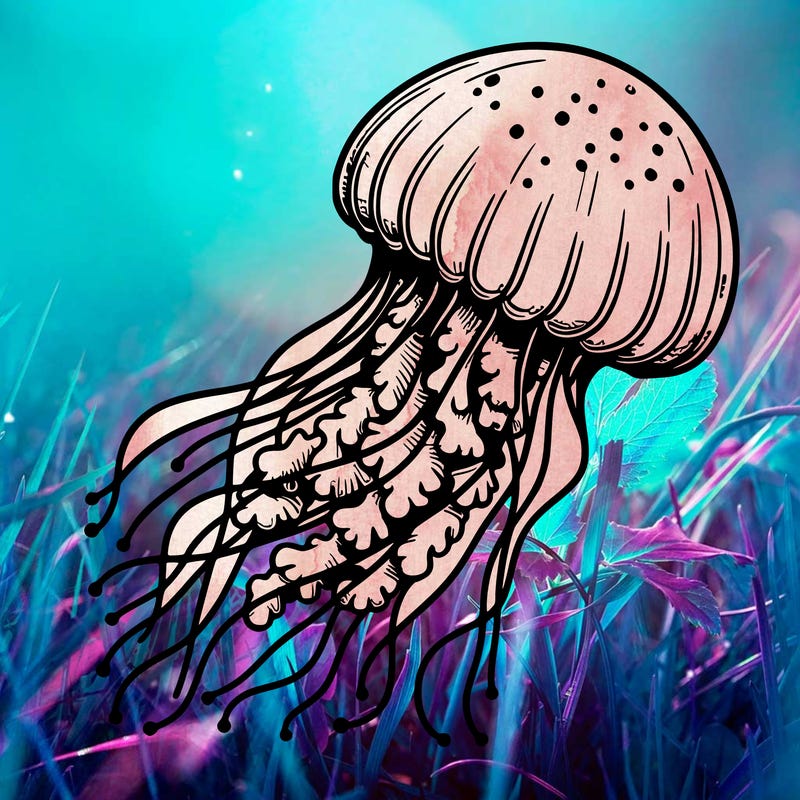 realistic jellyfish
