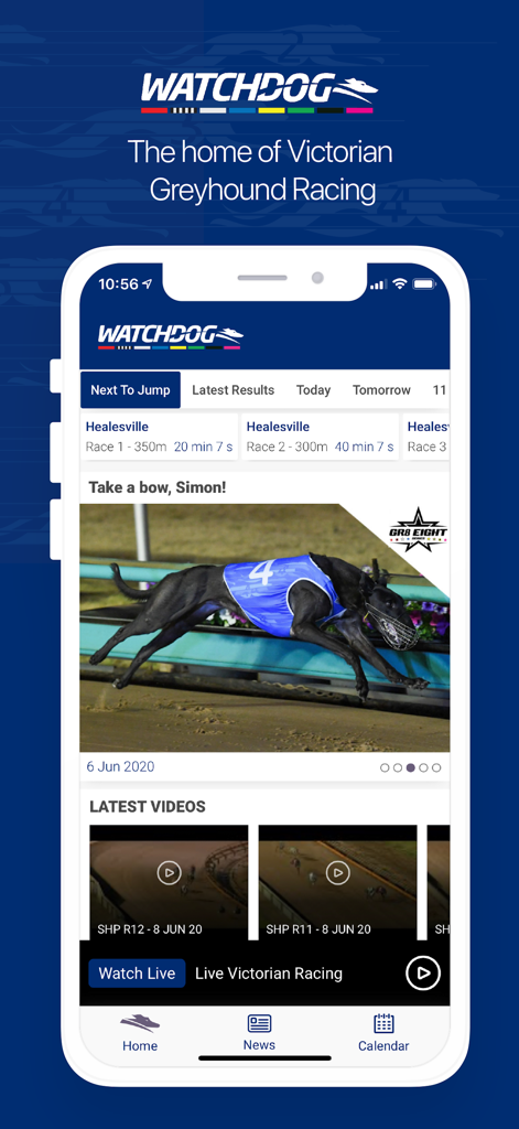 Watchdog - Watchdog mobile app interface for Victorian greyhound racing featuring live results and race videos