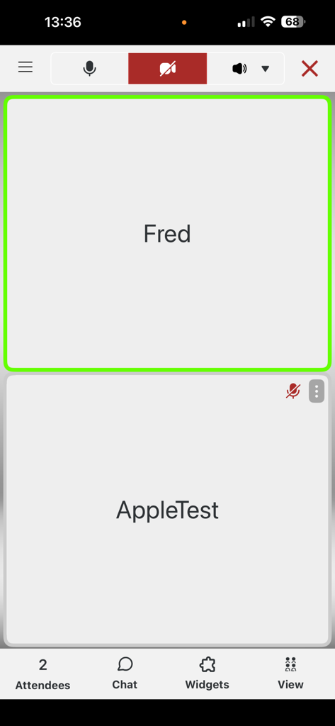 Meetn mobile app screen showing a video conference with two attendees and meeting controls.