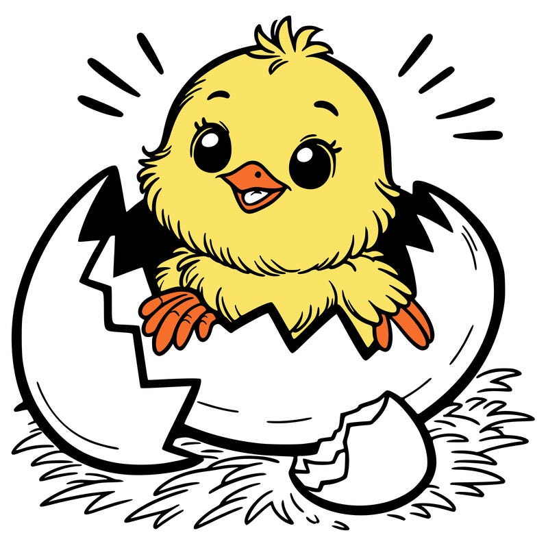 a chick hatching out of a egg