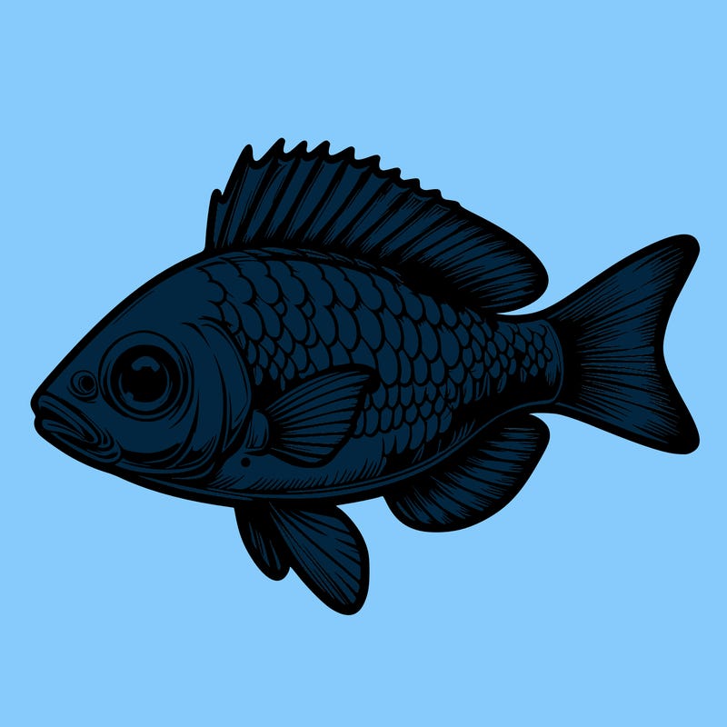 realistic fish