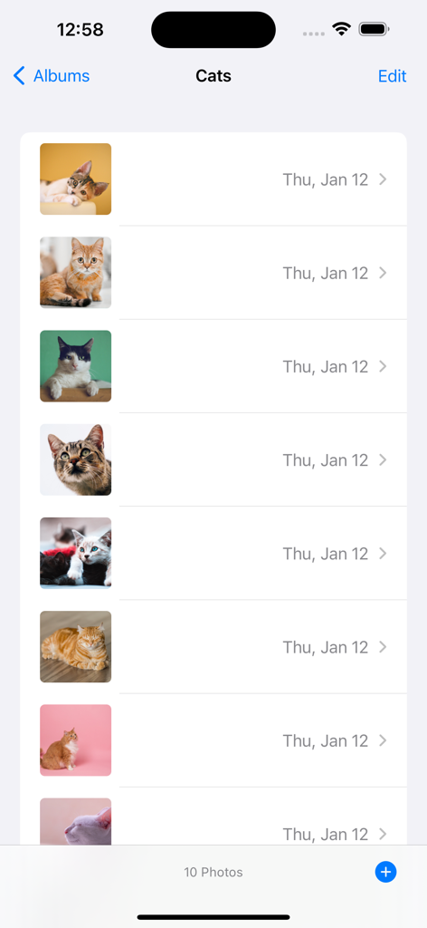 List of cat photos organized in an album within the Widget Photos app interface