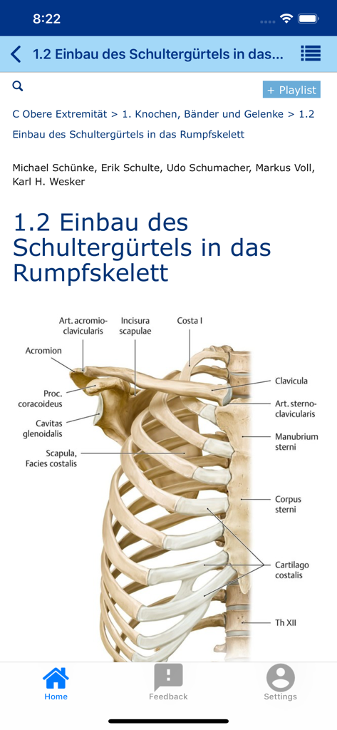 Detailed anatomical diagram of the human shoulder girdle and rib cage from the eRef medical app