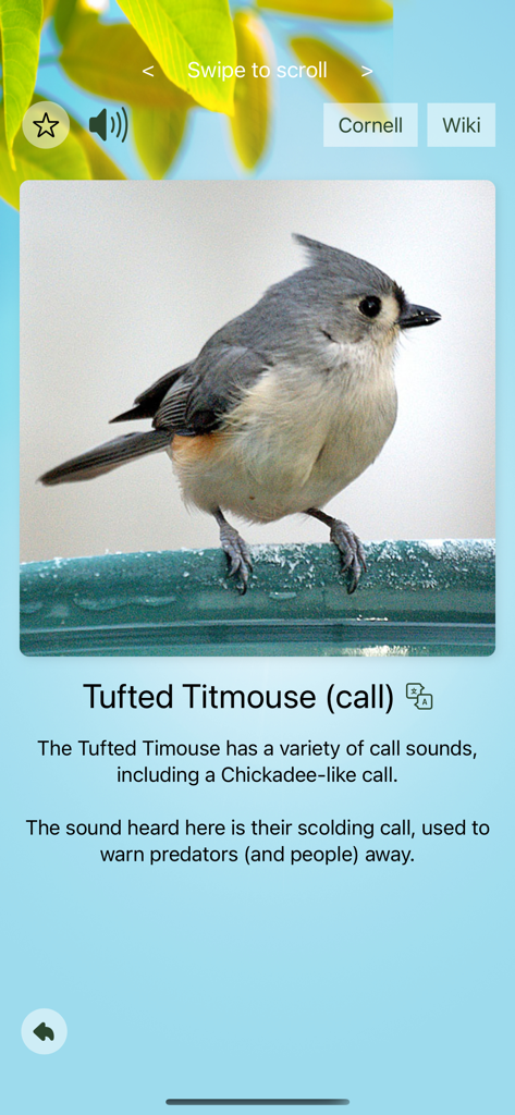 Bird identification screen showing a Tufted Titmouse with call details