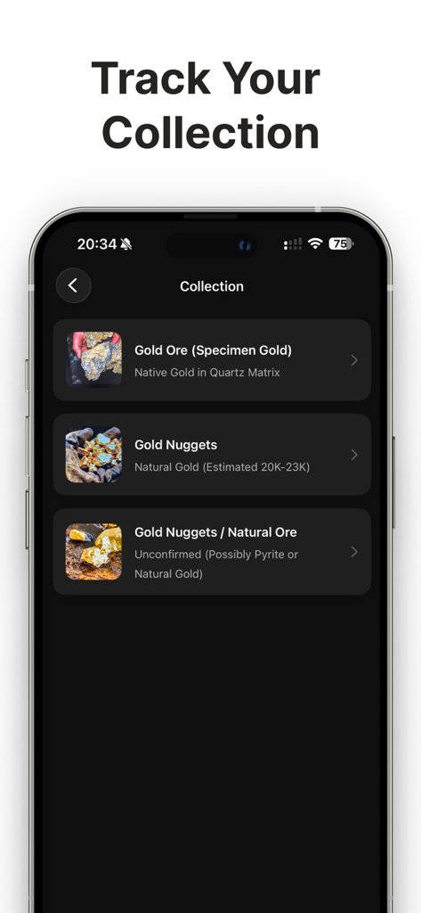 Gold Detector - AI Identifier - Screen showing the collection tracking feature in the Gold Detector AI app