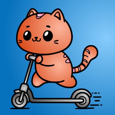 a cat scootering