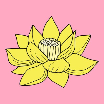 flowers_08