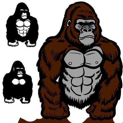 gorilla