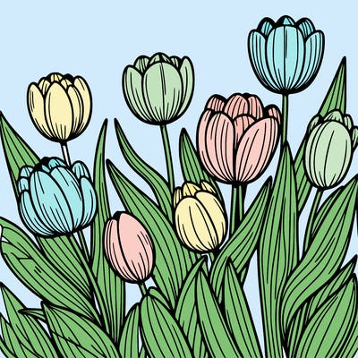 tulips