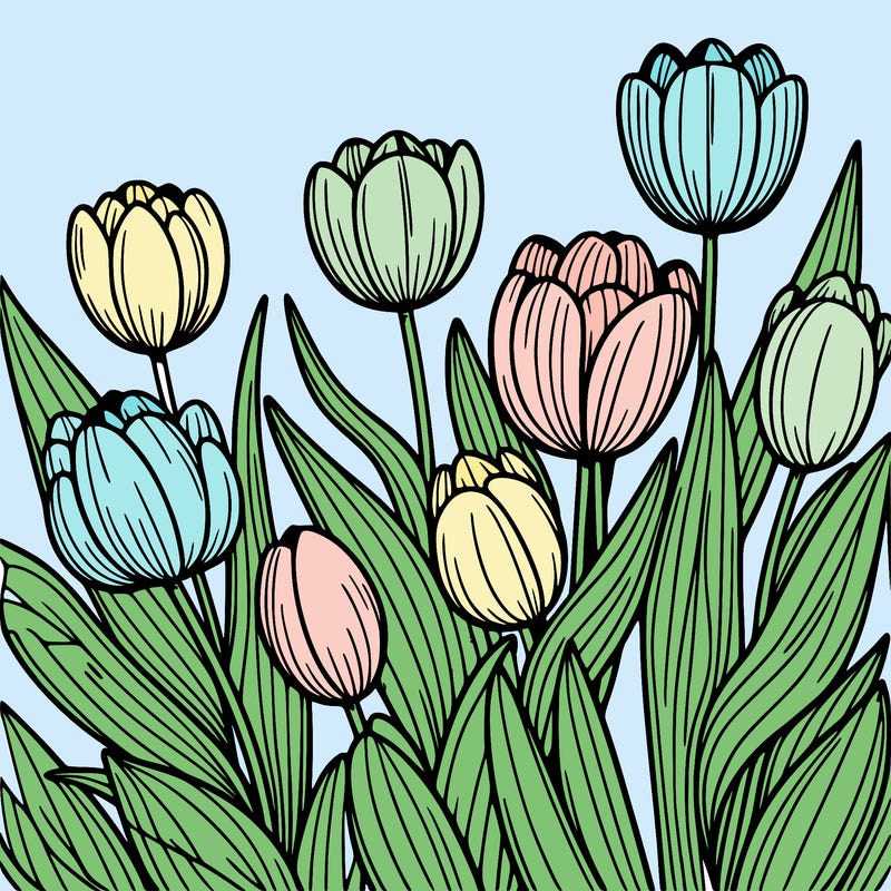 tulips