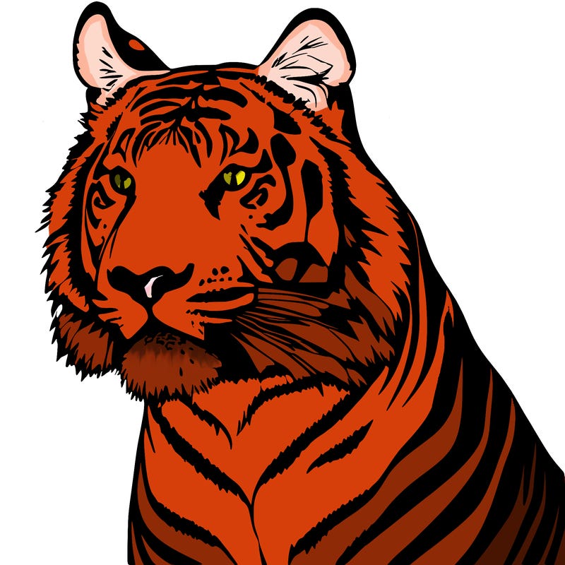 tiger