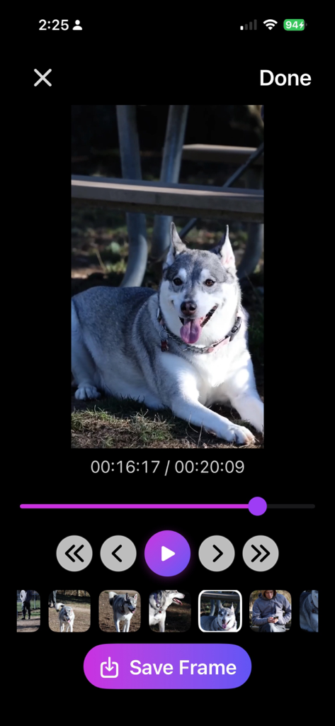 Interfaz de usuario de la aplicación Extract Frames from Video que muestra la selección precisa de fotogramas de un vídeo de mascotas