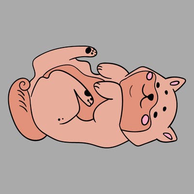 animals_30