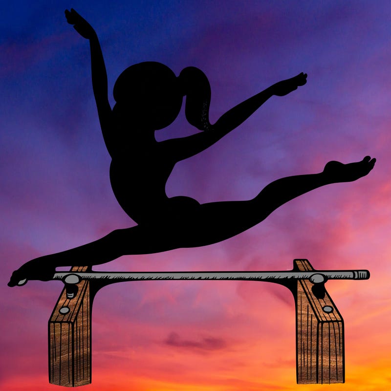 gymnastics girl on bar