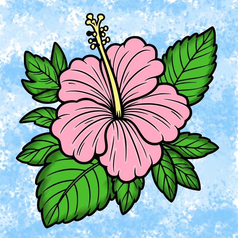 hibiscus flower